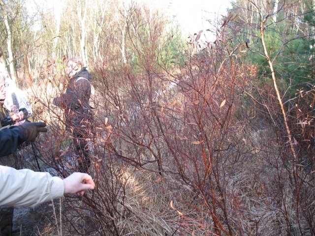 2007 02 Sortie traces 04